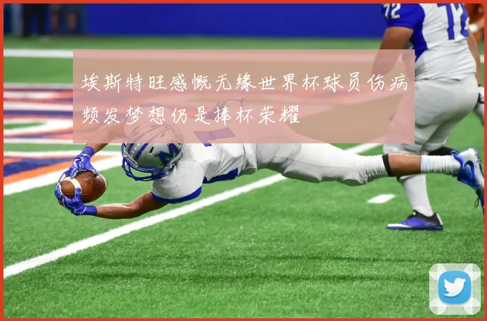 埃斯特旺感慨无缘世界杯球员伤病频发梦想仍是捧杯荣耀